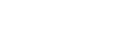 qualia